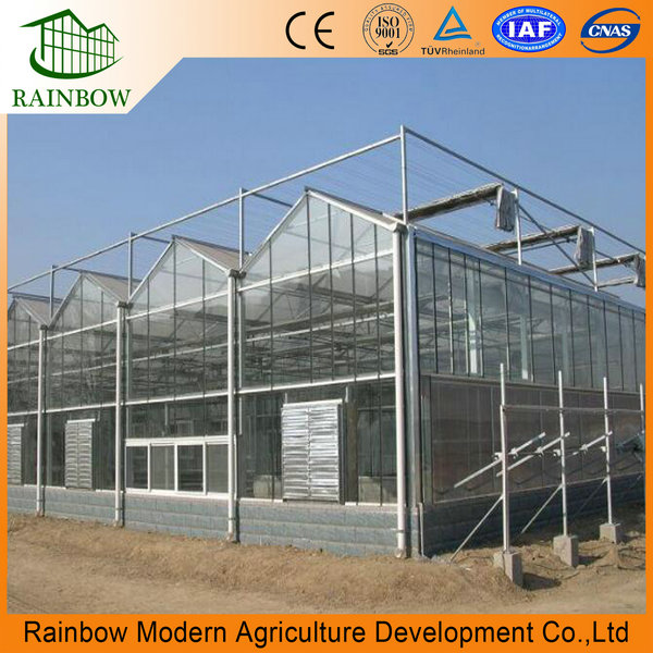 Стеклянная теплица Стеклянная теплица типа Продукции Qingzhou RAINBOW ...