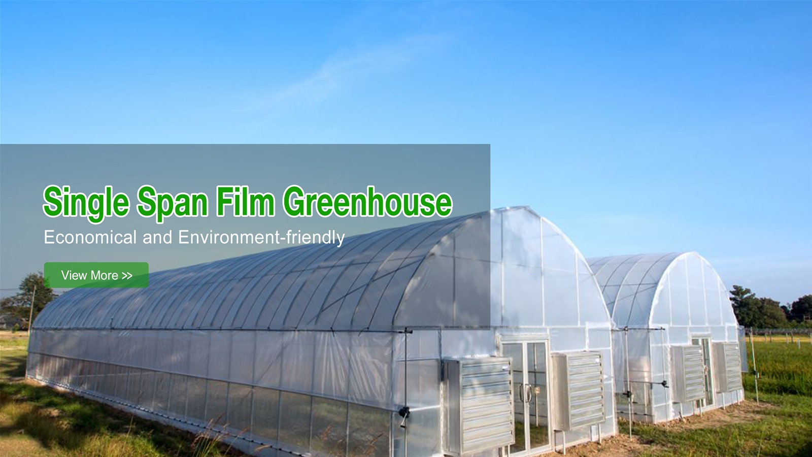 Single-span Film Greenhouse