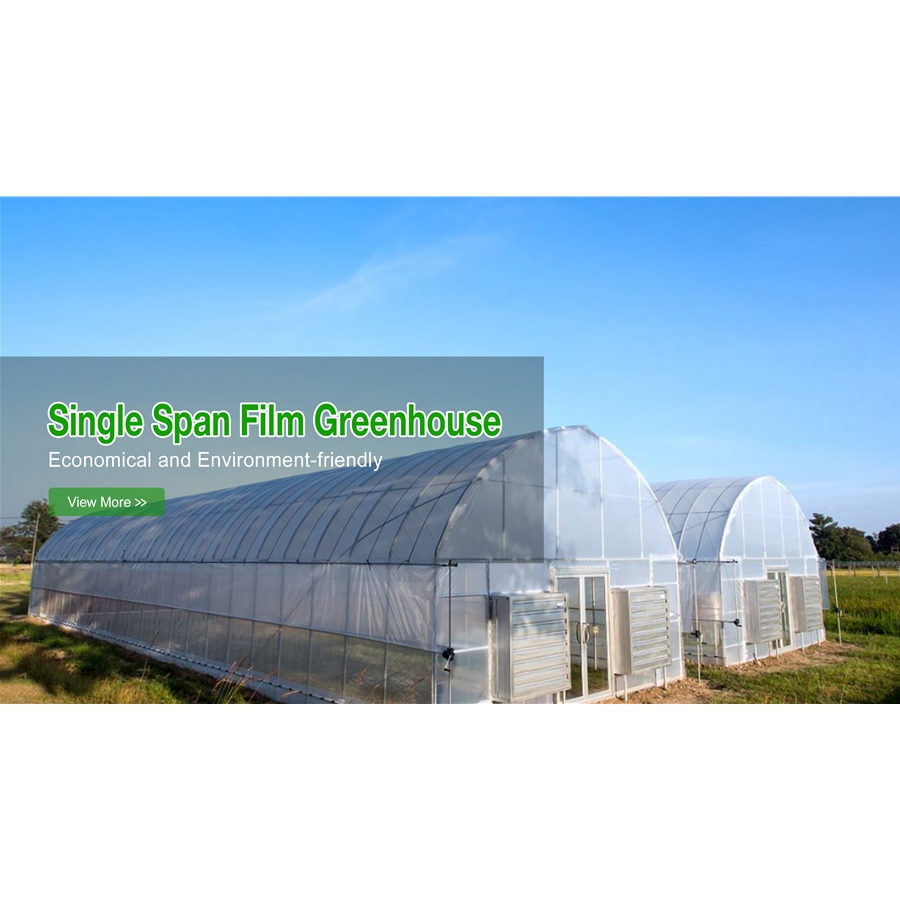 Single-span Film Greenhouse