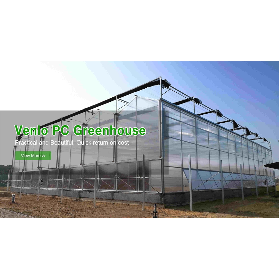 Venlo PC Greenhouse
