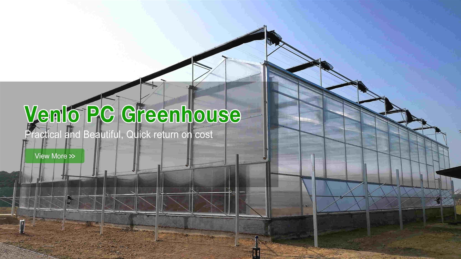 Venlo PC Greenhouse