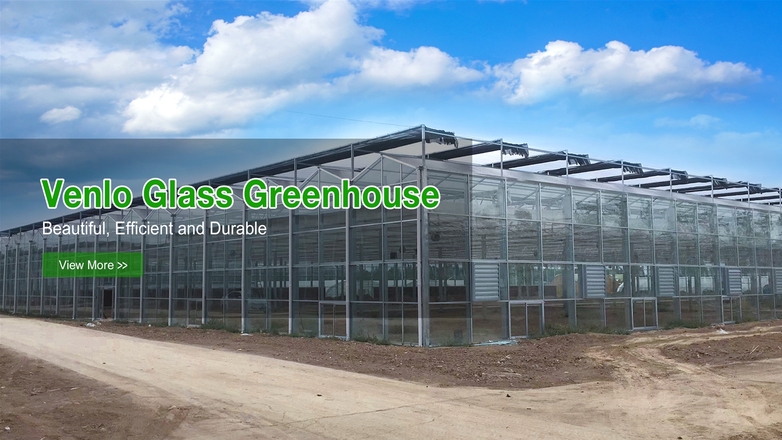 Venlo Glass Greenhouse